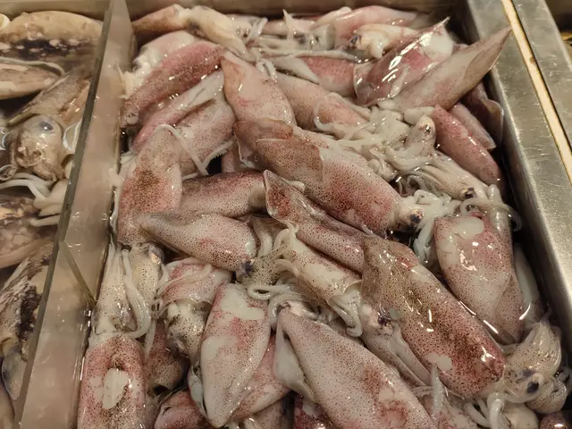 Cumi-Cumi