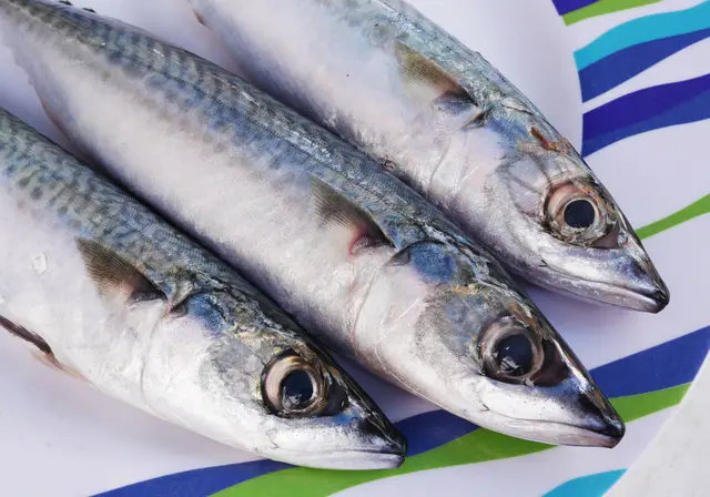 Ikan Kembung