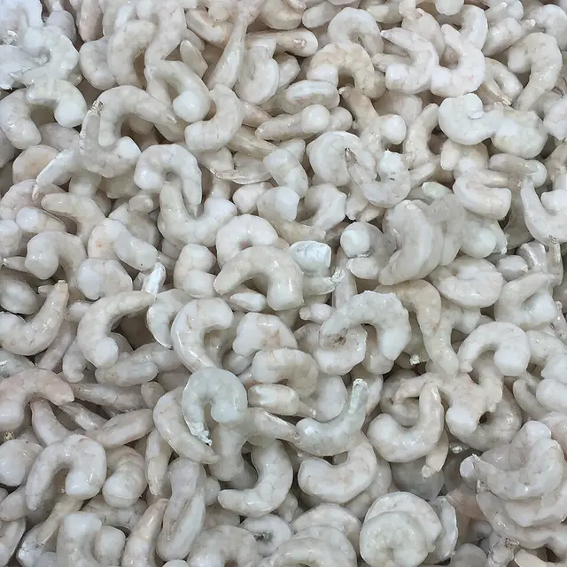 Udang Segar